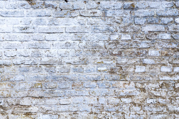 old vintage brick wall with white paint