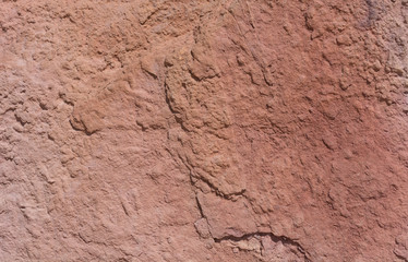 Textured surface of colorful rock