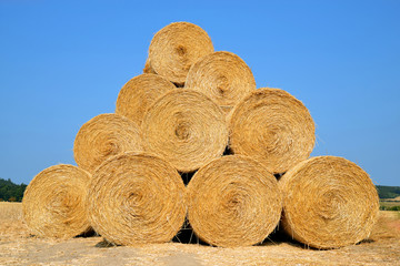 Straw bales on farmland with blue sky.