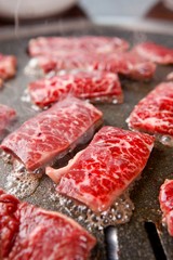 grilled beef thin skirt