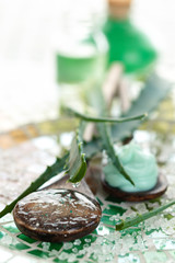 Aloe skin care products.