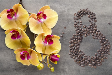 Coffee beans in form of number eight and orchids on beautifull background. International women's day. 8th march