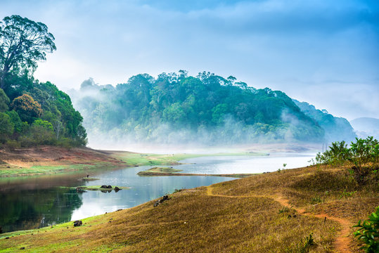 Fototapeta beautiful landscape with wild forest and river with fog in India. Periyar National Park, Kerala, India