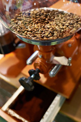 Coffee beans in grinder with millstones
