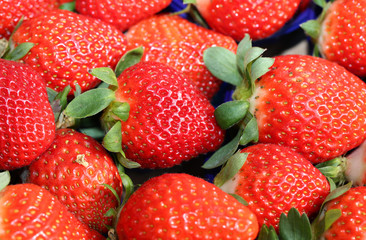 background red ripe strawberries for sale in the market