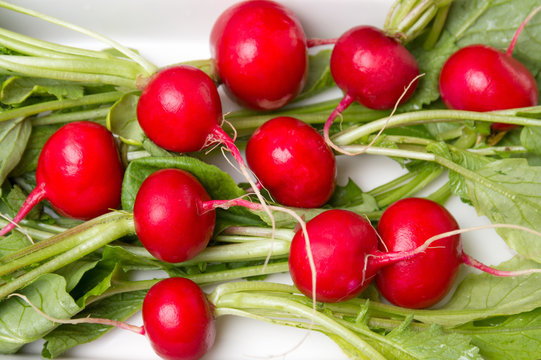 Fresh radishes with leaves in a bowl