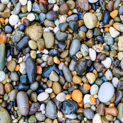 stones on the beach. stone background