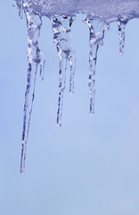 Naklejka na ściany i meble shiny, transparent icicles hanging on blue sky background