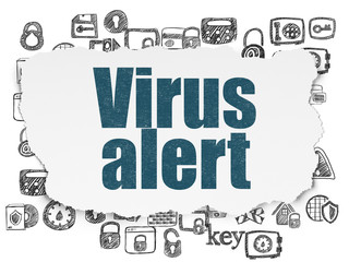 Security concept: Virus Alert on Torn Paper background