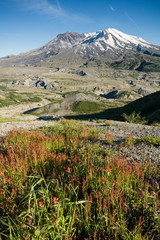 Fototapeta premium Mount St Helene, WA, USA