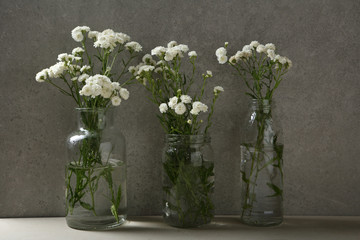 Small white flowers in vases