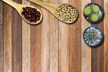 Seed on spoon and cactus on table of brown, top view background
