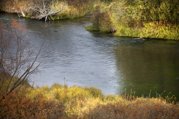 Sunlight River Reflections National Bison Range Charlo Montana