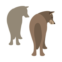 wolf vector illustration style Flat set silhouette