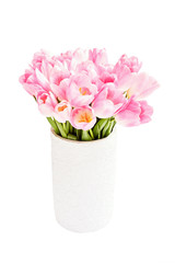 Pink tulips bouquet in old white vase. Isolated over white background 