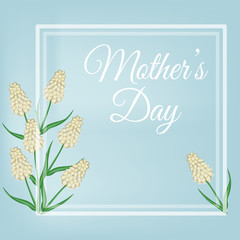 Mothers Day. Postcard with flowers muscari.