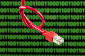 red patch cable with knot against computer screen with digits