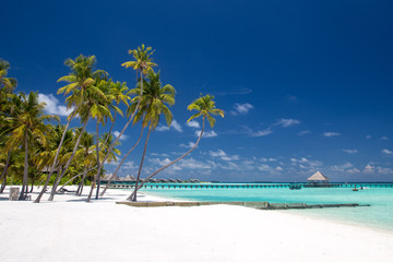 beach on the Maldives