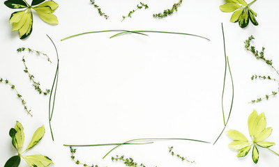 green yellow leaf frame on white background. flat lay, top view.abstract