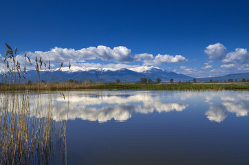 Relaxing landscape - lake with reflection 