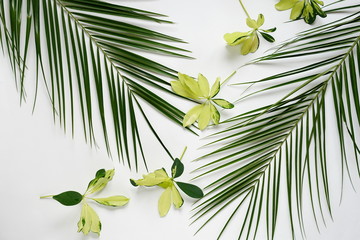 green yellow leaf, palm branches on white background. flat lay, top view.abstact