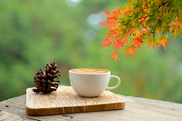 Cup of coffee latte on old bark in autumn with tree maple of colorful leaves in the garden and design with copy space. Seasonal fall and beautiful relax concept.