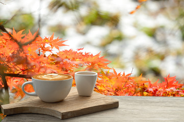 Cup of coffee latte on old bark in autumn with tree maple of colorful leaves in the garden with copy space. Seasonal fall and beautiful relax concept.