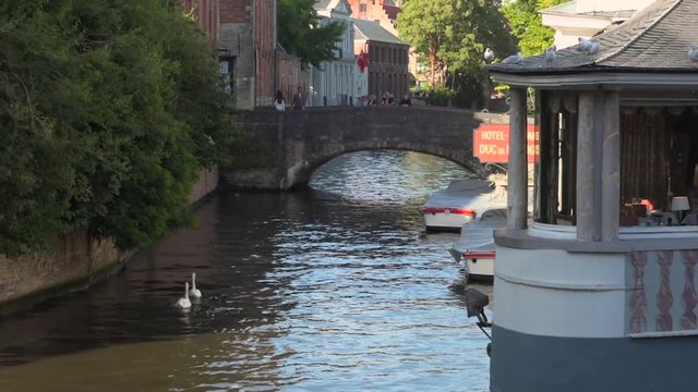 canal navegable en brujas belgica, con cisnes nadando hacia un puente, agosto 2016 