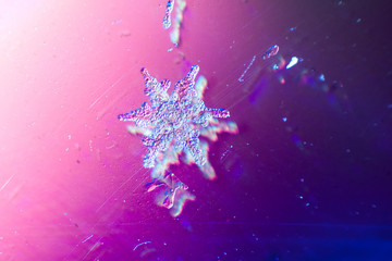 real snowflake Macro shot from real winter