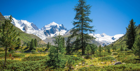 Obraz premium Wanderweg im Val Roseg, Schweiz