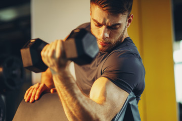 Handsome man doing biceps lifting with dumbbell on bench in a gym