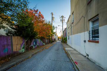 Obraz premium Autumn color in an alley near Hollin's Market, in Baltimore, Maryland.