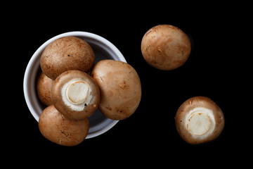 Organics  brown Mushrooms isolated on black