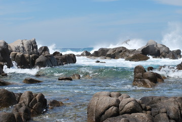 Mer, paysage, environnement,