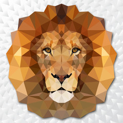 The muzzle lion vector illustration with high-detailed eyes, consisting of triangles. Low poly design