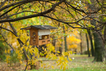 Bird feeder hanging on the tree in autumn park on blurred background of yellow leaves and trees.