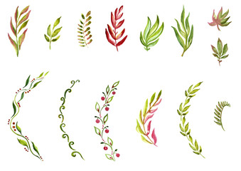 watercolor branches of different styles