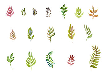 watercolor branches of different styles