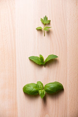 Leaves of lovage mint and basil on wooden background