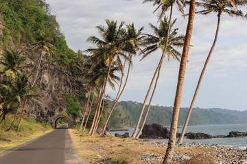 Road to the north of Sao Tome Island, with a historical tunnel and beautiful sea. - 139616557