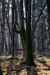 Prusy Wschodnie, Warmińsko-Mazurskie, Polska