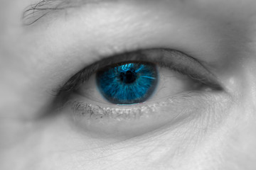 Female Blue Single Eye