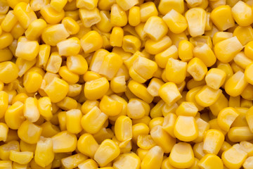 Bulk of yellow corn grains texture.