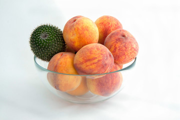 Among strangers. A stranger among us. Prickly cactus among the beautiful peaches.