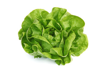 Salade laitue verte © hcast