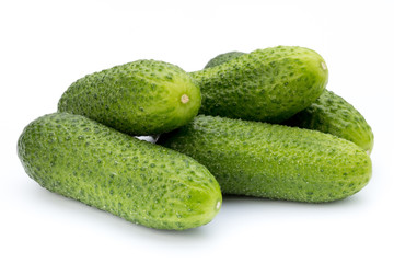 The first spring ecologically cucumbers.