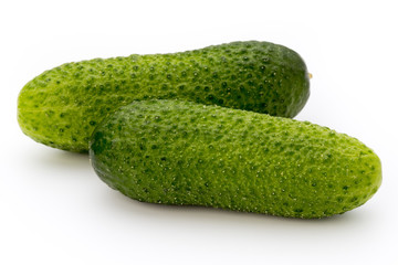 The first spring ecologically cucumbers.