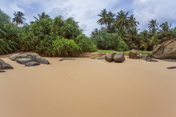 Untouched tropical beach