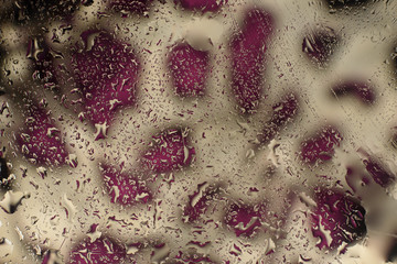 colored water drops on glass