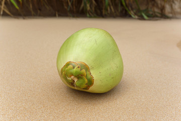 Green coconut on the beach.
